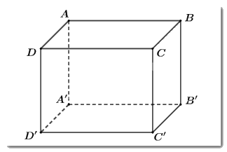 Trắc nghiệm Bài 1: Hình hộp chữ nhật. Hình lập phương Toán 7 Cánh diều 0 2