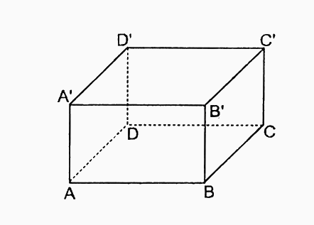 Trắc nghiệm Bài 1: Hình hộp chữ nhật. Hình lập phương Toán 7 Cánh diều 0 11