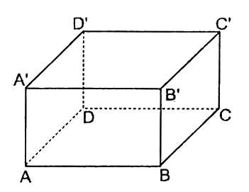 Trắc nghiệm Bài 1: Hình hộp chữ nhật. Hình lập phương Toán 7 Cánh diều 0 13