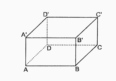 Trắc nghiệm Bài 1: Hình hộp chữ nhật. Hình lập phương Toán 7 Cánh diều 0 10