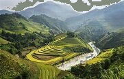 Trắc nghiệm Bài 13: Làm tròn số đến hàng trăm nghìn Toán 4 Kết nối tri thức 0 15