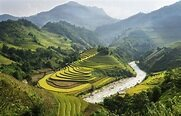 Trắc nghiệm Bài 13: Làm tròn số đến hàng trăm nghìn Toán 4 Kết nối tri thức 0 6