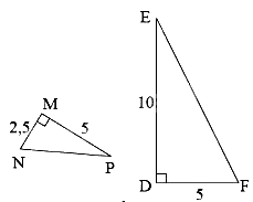 Trắc nghiệm Bài 36: Các trường hợp đồng dạng của hai tam giác vuông Toán 8 Kết nối tri thức 0 6