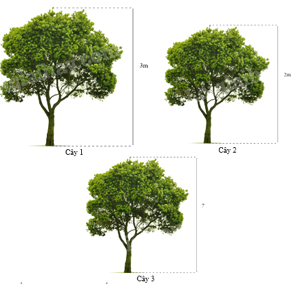 Trắc nghiệm Bài 37: Hình đồng dạng Toán 8 Kết nối tri thức 0 21