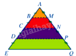 Trắc nghiệm Bài 37: Hình đồng dạng Toán 8 Kết nối tri thức 0 5