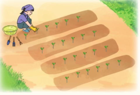 Trắc nghiệm Bài 4: Ôn tập bảng nhân 2 ; 5; bảng chia 2 ; 5 Toán 3 Kết nối tri thức 0 4