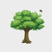 Trắc nghiệm Bài 41: Nhân, chia với 10, 100, 1 000, ... Toán 4 Kết nối tri thức 0 13