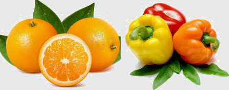 Trắc nghiệm Bài 6,7: Các phép tính với số thập phân Toán 6 Cánh diều 0 26