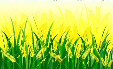Trắc nghiệm Bài 6: Bài toán liên quan đến rút về đơn vị Toán 4 Chân trời sáng tạo 0 4