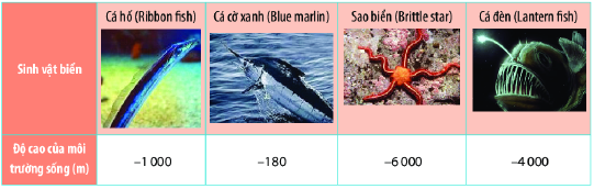 Trắc nghiệm Các dạng toán về thứ tự trong tập hợp số nguyên Toán 6 Chân trời sáng tạo 0 1