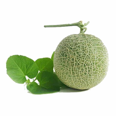 Trắc nghiệm: Chia cho số có một chữ số trong phạm vi 100 000 Toán 3 cánh diều 0 15