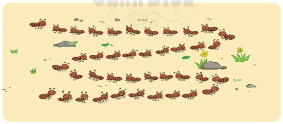 Trắc nghiệm Ước lượng Toán 2 Chân trời sáng tạo 0 21